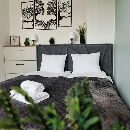 Just 5 By Housine Zator